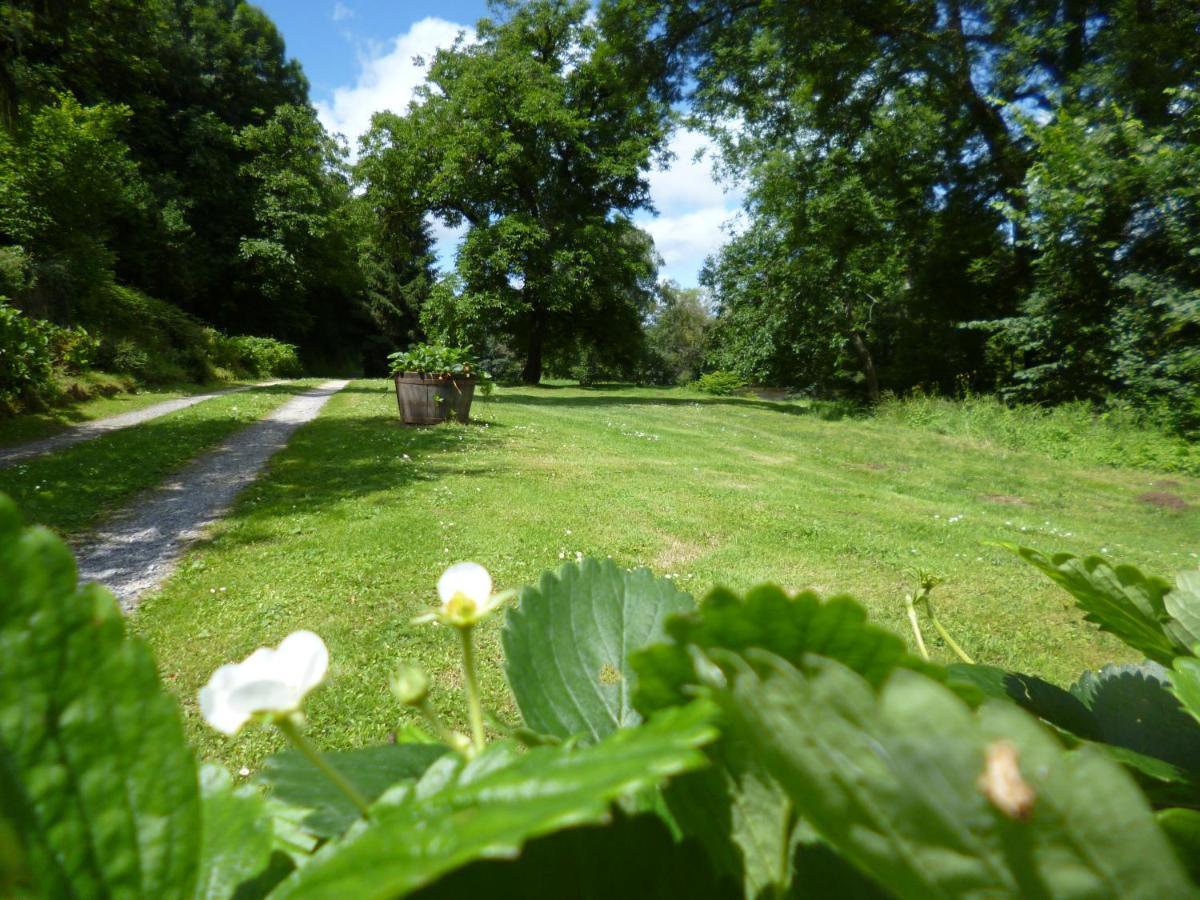 Le Moulin De Cors Bed & Breakfast Oulches Exterior photo